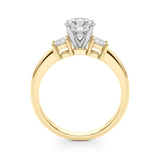 Remount Ring - Image 10