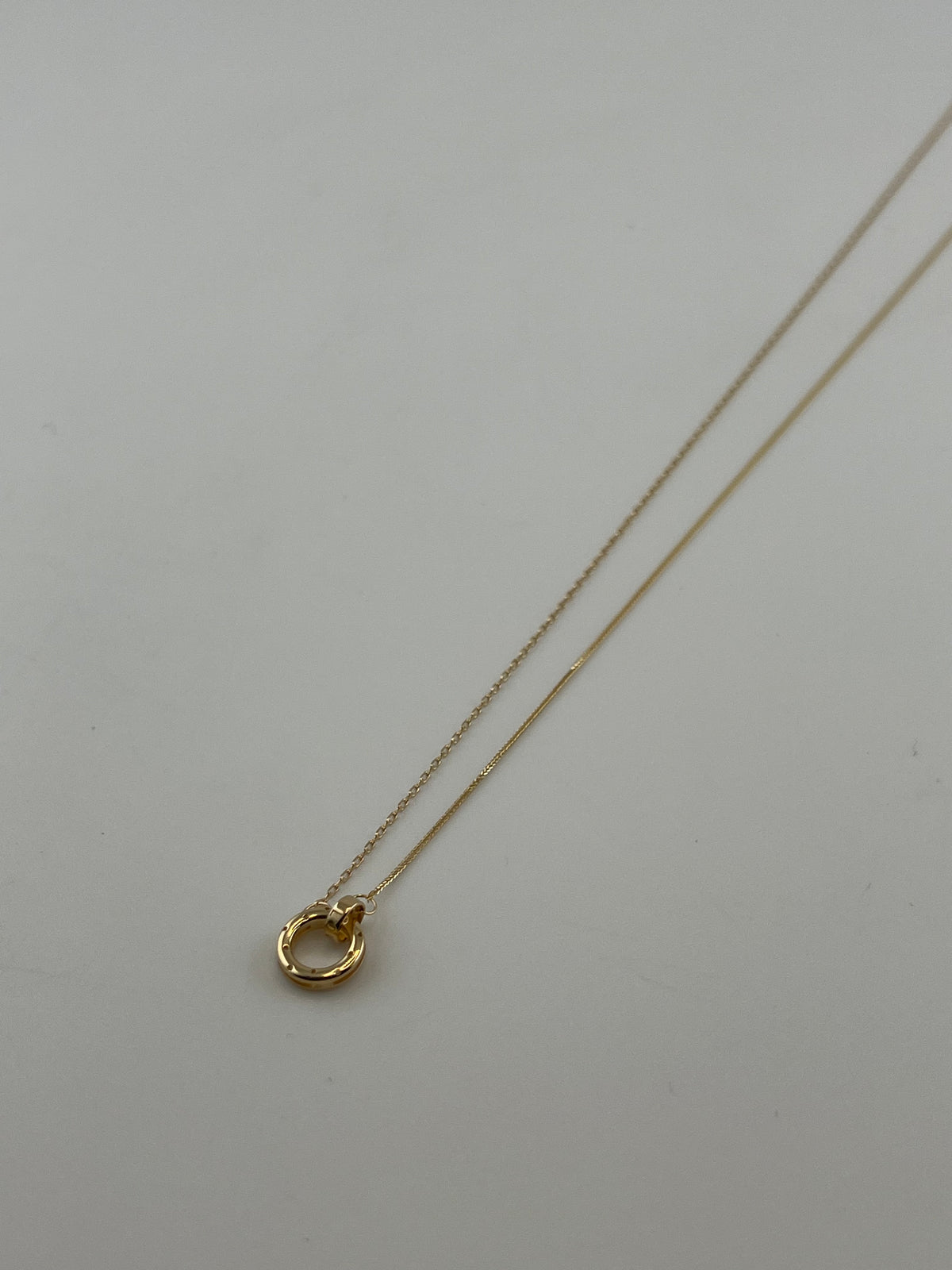 The Solé Circle Necklace - Image 1