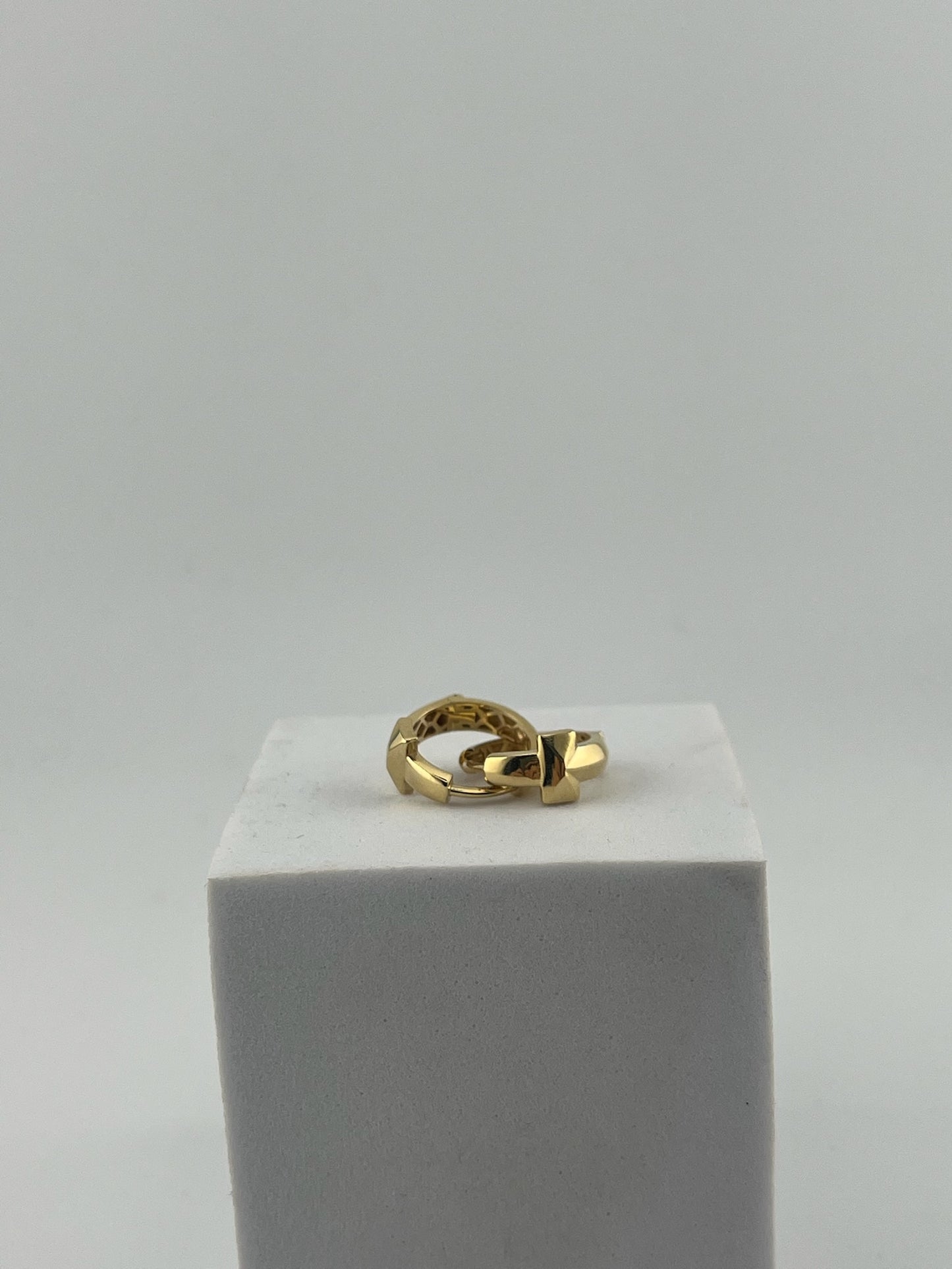T earrings