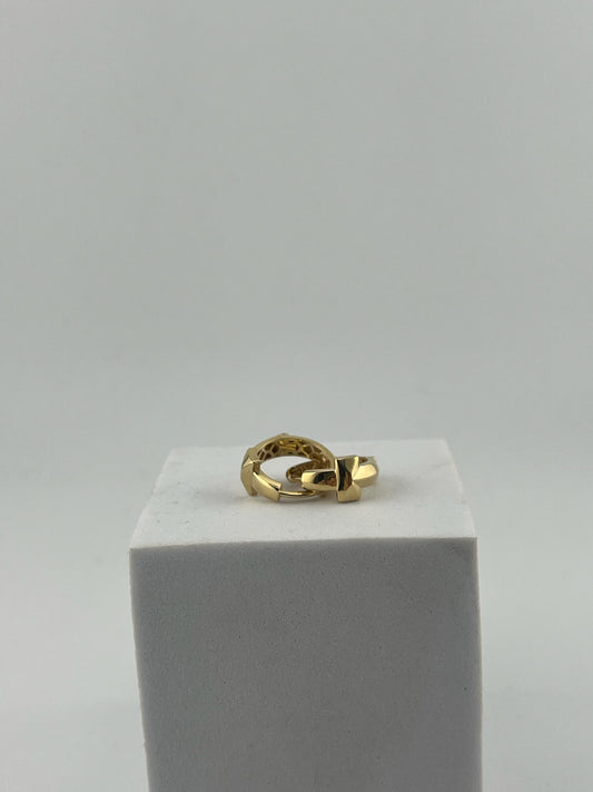 T earrings