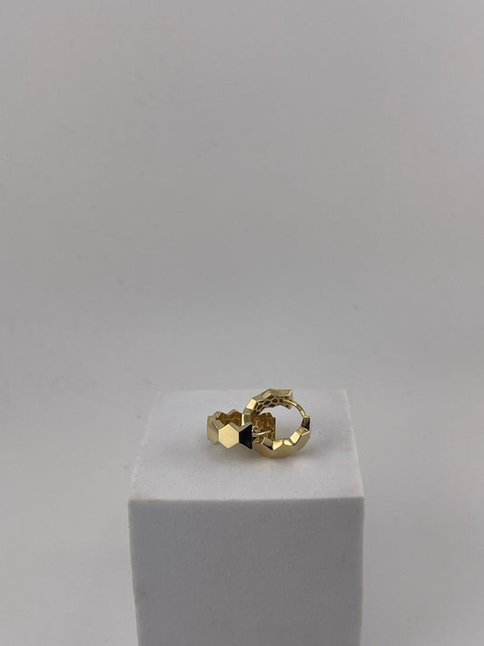 Hexagon earrings